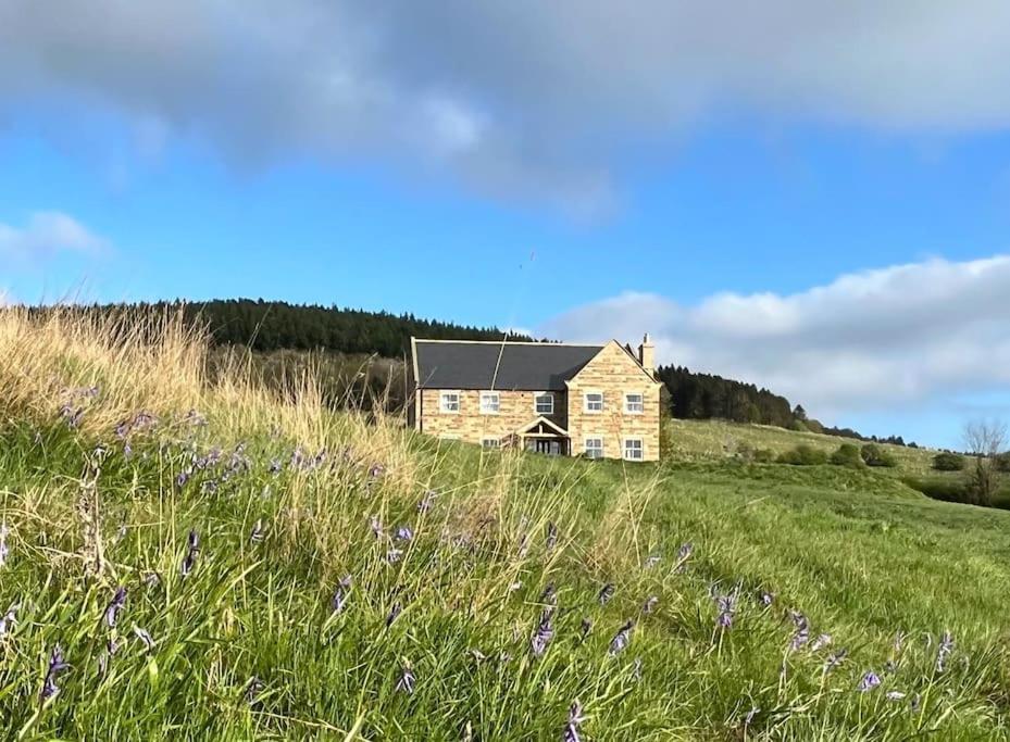 Foxhall Farm Thirsk Exterior foto
